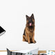 Sitting German Shepherd Dog Wall Decal