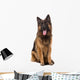 Sitting German Shepherd Dog Wall Decal