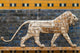 Mosaic of a Lion on the Ishtar Gate Wall Decal