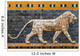 Mosaic of a Lion on the Ishtar Gate Wall Decal