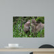 Borneo Pygmy Elephant Wall Decal