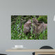 Borneo Pygmy Elephant Wall Decal