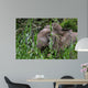 Borneo Pygmy Elephant Wall Decal