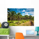Coconut palm trees Wall Decal