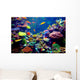 Singapore aquarium Wall Decal