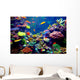 Singapore aquarium Wall Decal