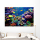Singapore aquarium Wall Decal