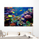 Singapore aquarium Wall Decal