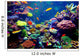 Singapore aquarium Wall Decal