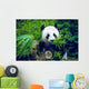 Hungry giant panda Wall Decal