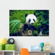 Hungry giant panda Wall Decal