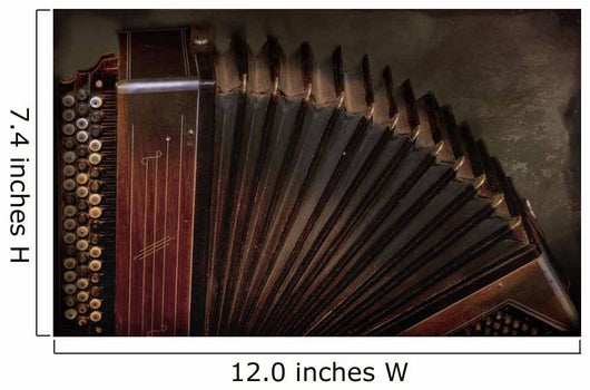 old accordion Wall Decal