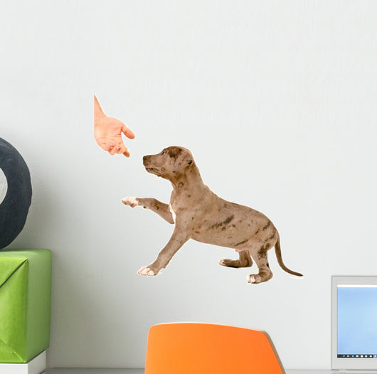 Puppy of pitbull gives a paw Wall Decal