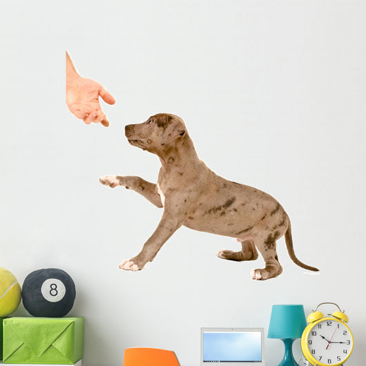 Puppy of pitbull gives a paw Wall Decal