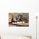 Mother Ostrich Wall Decal