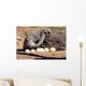 Mother Ostrich Wall Decal