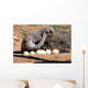 Mother Ostrich Wall Decal