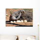 Mother Ostrich Wall Decal