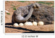 Mother Ostrich Wall Decal