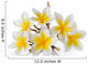 Frangipani Flower White 2 Wall Decal