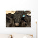 Black Angus Cow Wall Decal