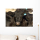 Black Angus Cow Wall Decal