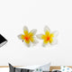Frangipani Flower White Wall Decal