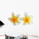 Frangipani Flower White Wall Decal