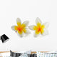 Frangipani Flower White Wall Decal