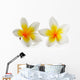 Frangipani Flower White Wall Decal