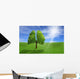 Tree in shape of lungs Wall Decal