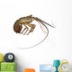 Spiny lobster - Palinuridae Wall Decal