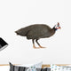 Guinea Fowl Bird Wall Decal