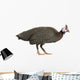 Guinea Fowl Bird Wall Decal