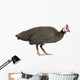 Guinea Fowl Bird Wall Decal