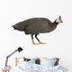 Guinea Fowl Bird Wall Decal