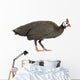 Guinea Fowl Bird Wall Decal