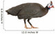 Guinea Fowl Bird Wall Decal