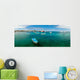 marina in san cristobal galapagos islands ecuador Wall Decal