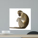 Vervet Monkey Chlorocebus Pygerythrus Wall Decal