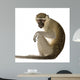 Vervet Monkey Chlorocebus Pygerythrus Wall Decal