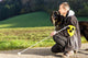 Blind Service Dog Wall Decal