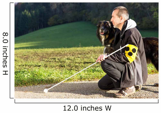 Blind Service Dog Wall Decal