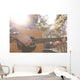 A folk country musician playing his guitar. Wall Decal