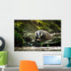 European badger Wall Decal