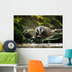 European badger Wall Decal