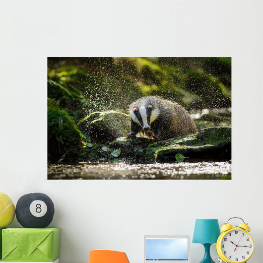 European badger Wall Decal