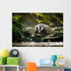 European badger Wall Decal