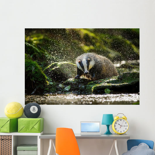 European badger Wall Decal