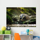 European badger Wall Decal